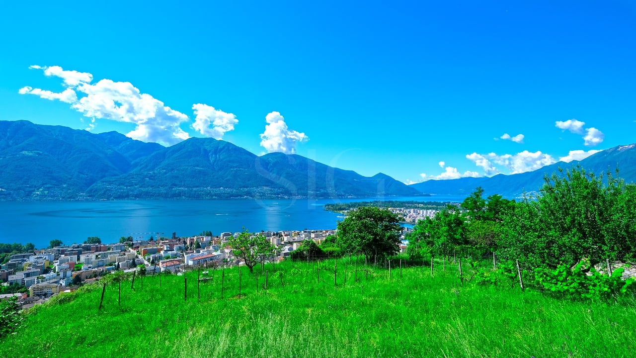 Brione sopra Minusio Baugrundstück mit herrlichem Seeblick